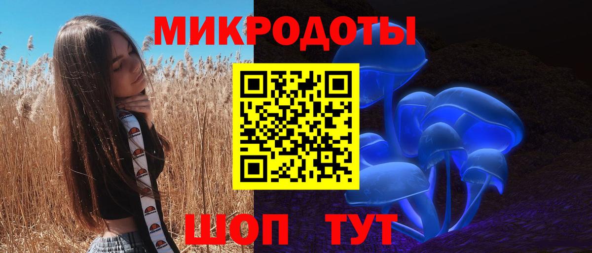 Псилоцибиновые грибы Psilocybe  Вход с VPN  Торжок  цена наркотик  Галлюциногенные грибы Psilocybe 
