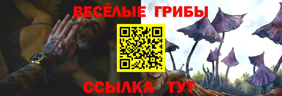 Псилоцибиновые грибы MAGIC MUSHROOMS Торжок