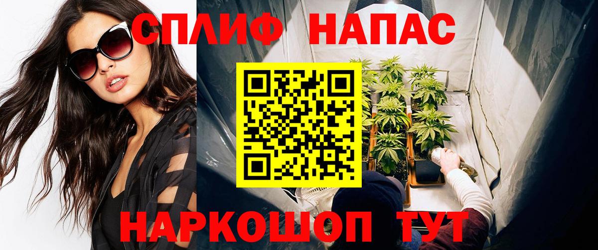 Бошки Шишки конопля  Конопля тримм  Торжок  Вход с VPN  Каннабис план 